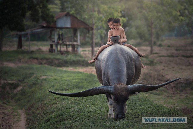 Картинки и гифки