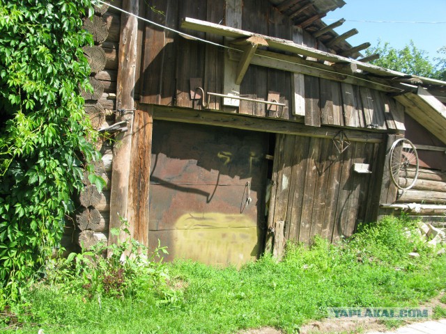 Они живые. Они смотрят на нас!