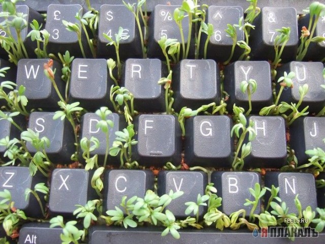 Компьютерные картинки. Все о КОМПЬЮТЕРАХ