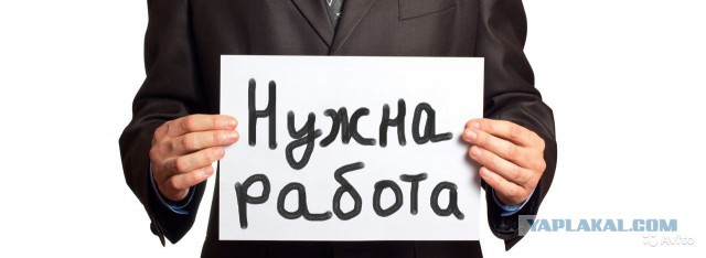 Поиск работы