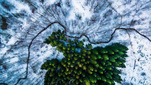 Картинки для отдыха глаз