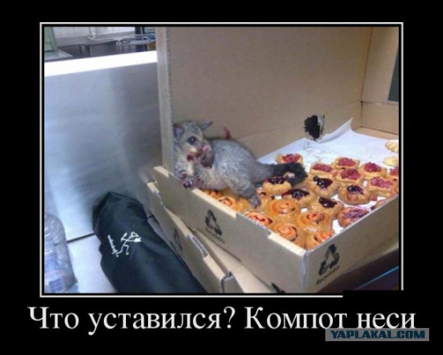 Картинки в черных рамках