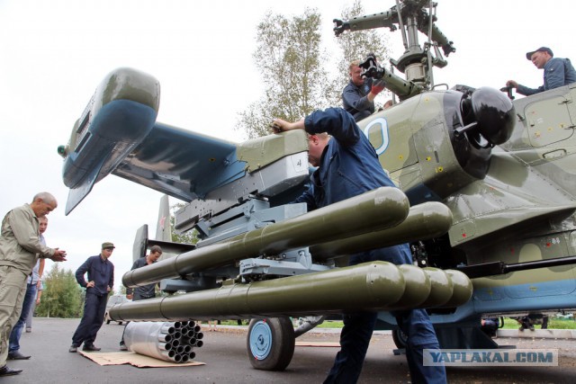 «Чёрная акула» вернулась в родной город