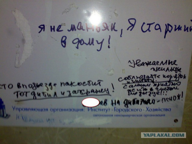 15 душевных объявлений из наших подъездов