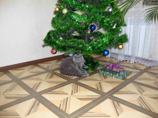 Я спросил у ясеня