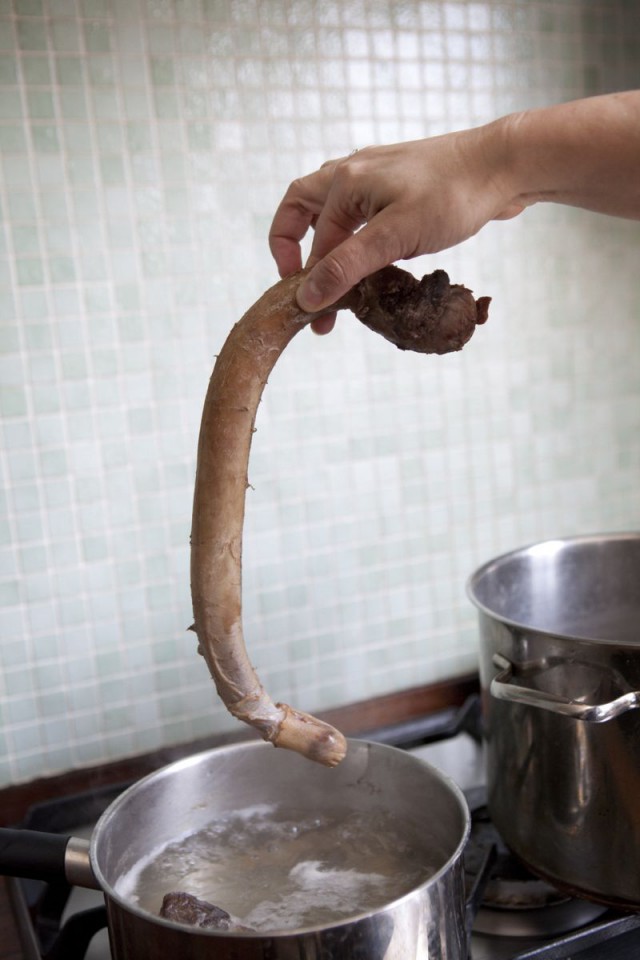 Процесс приготовления супа из бычьего пениса