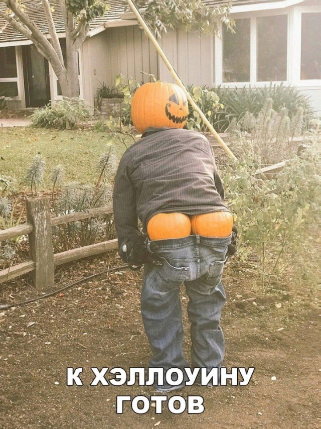 Подборка интересных и веселых картинок