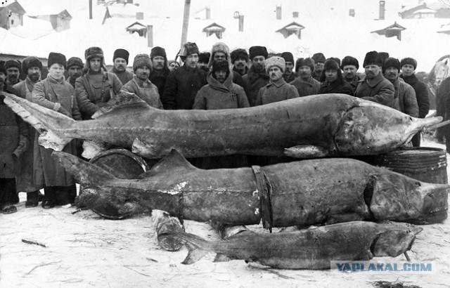 Путешествие по Волге.Старые фото
