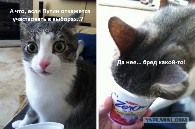Возникла ли у нас революционная ситуация?