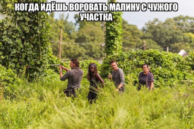 Временный пост. Всякое-разное