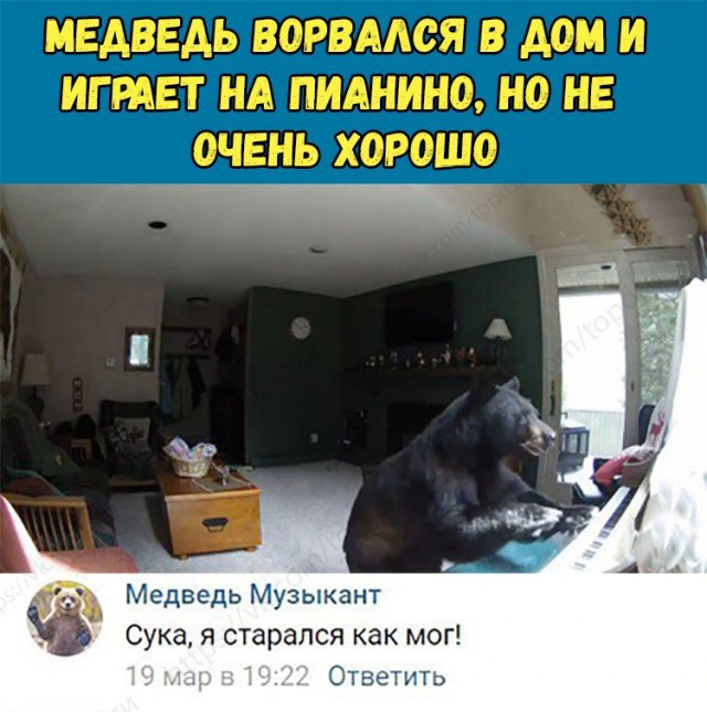 Нестандартный юмор