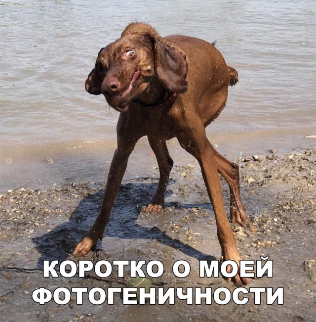 Нестандартный юмор