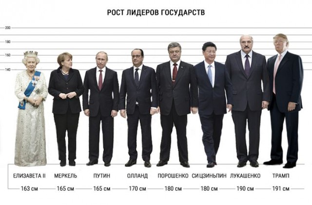 Почему высокие люди сутулятся?