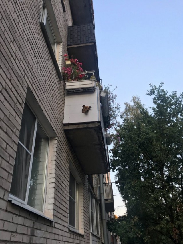 Подборка интересных и веселых картинок 04.10.18