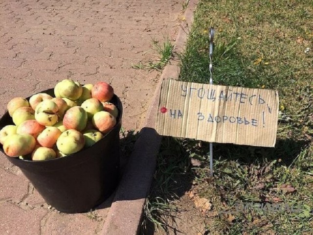 Азбука провинциальной жизни