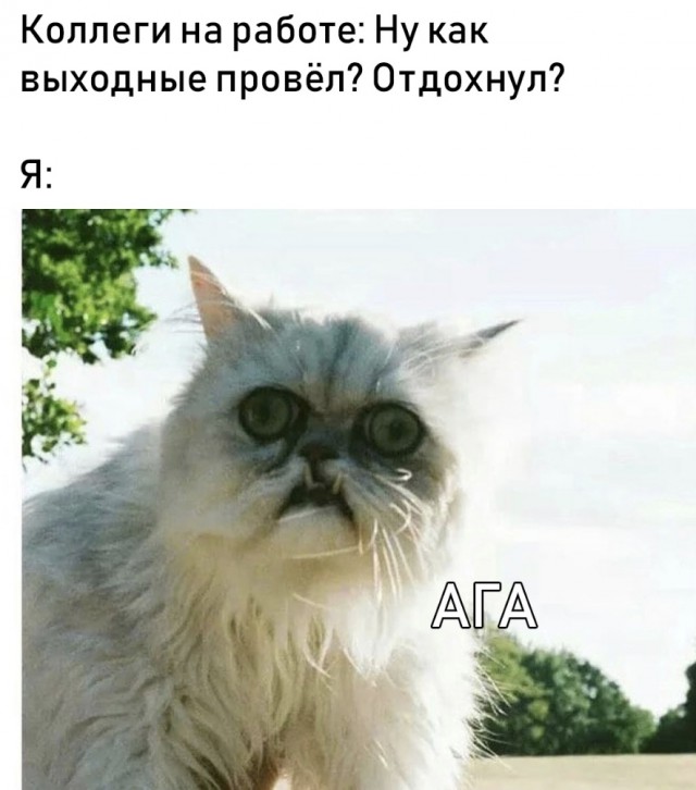 Алкопост на вечер этой пятницы