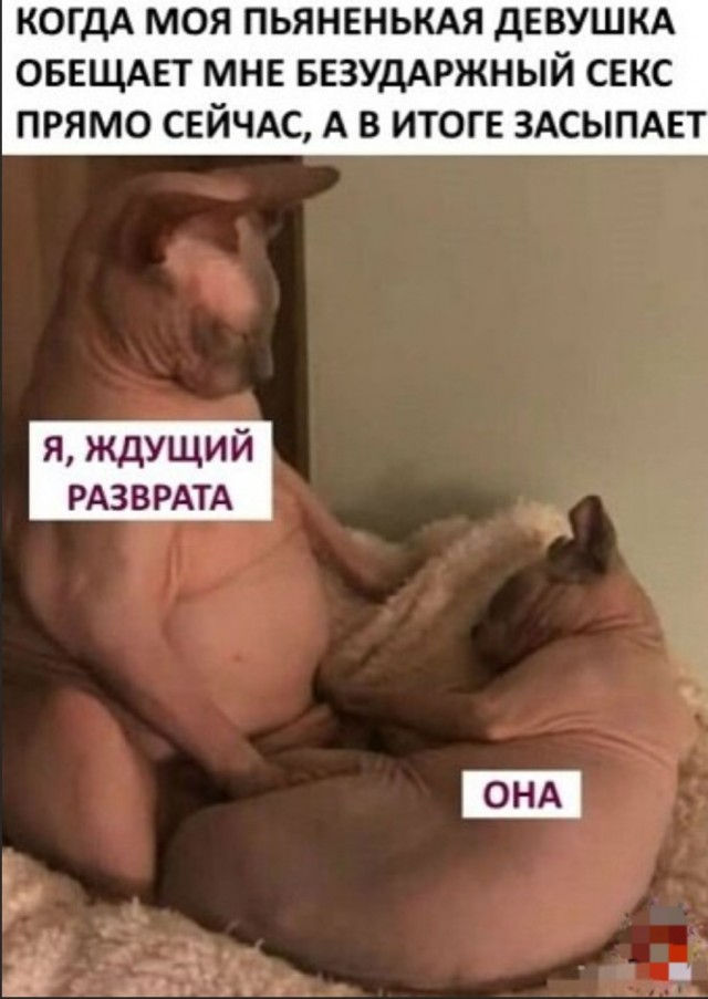 Бредзона 24.08.2020