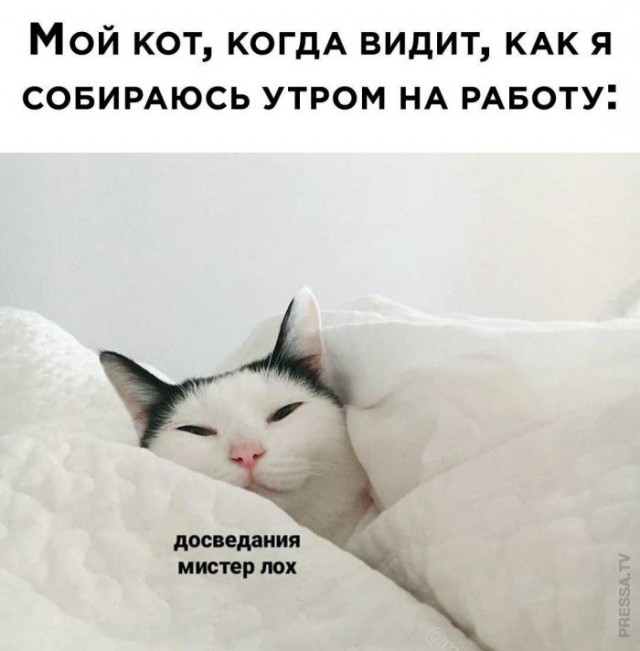 Немного картинок для настроения 09.11.20