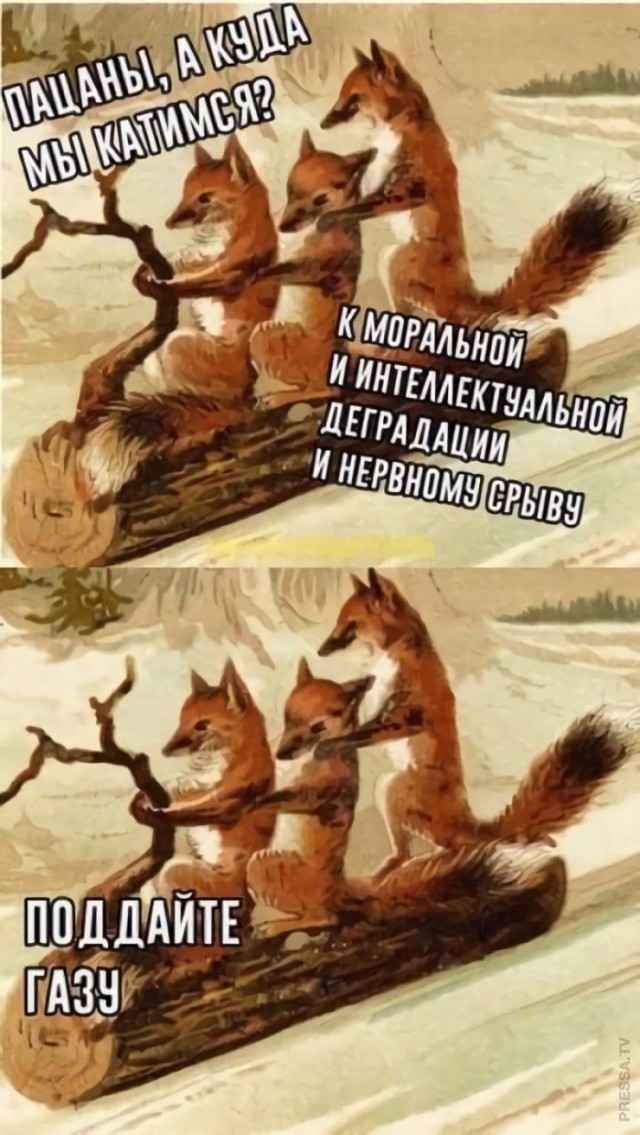 Картинки и мемы для настроения 014