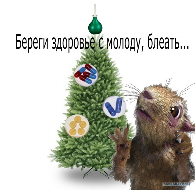 Фотожаба: Украшение елки