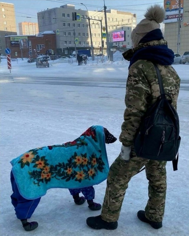 Субботняя солянка