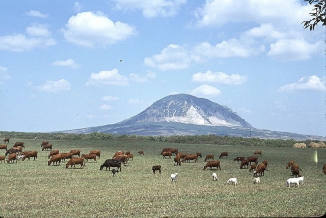 Интересные и редкие ретро-фотографии 25.01.2021