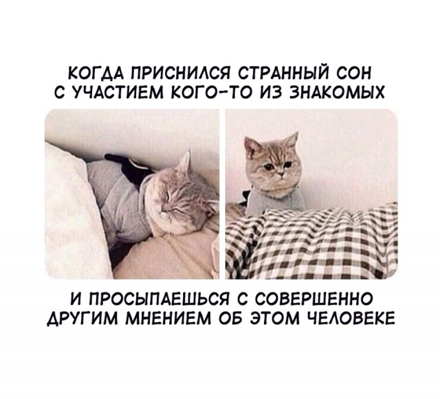 Картинки и мемы для настроения