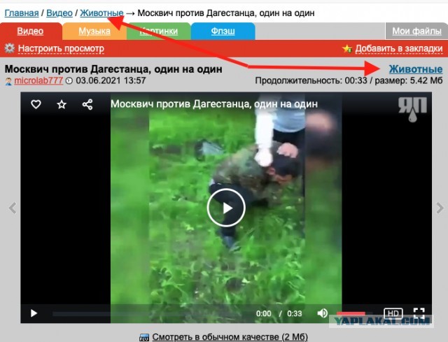 Король дорог
