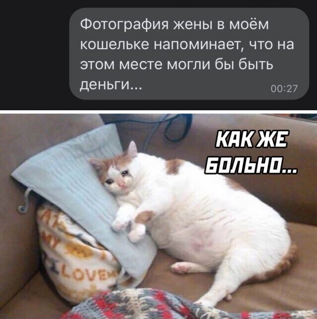 Картинки и мемы для настроения 006