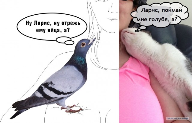 Здравствуйте