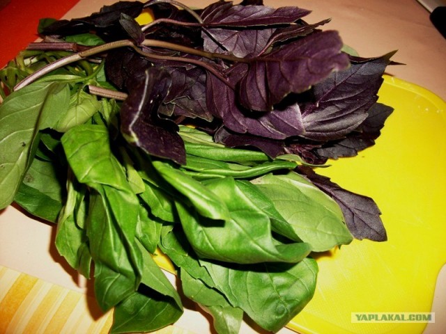 Покатаем шары?