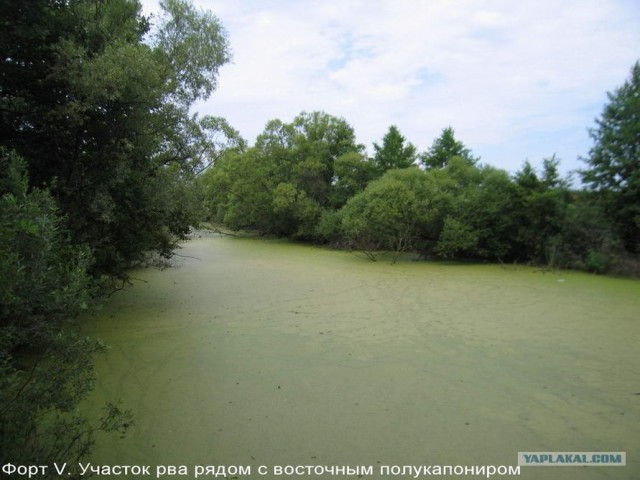 Форты Бреста