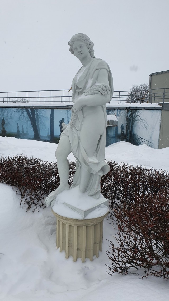 Выборг зимой