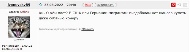В Германии снова флаги СССР. На капотах машин.