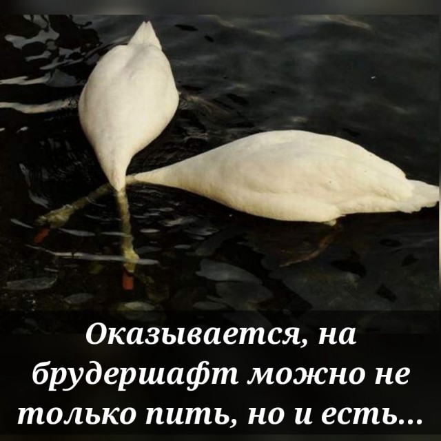 Так себе картинки 09.05.22