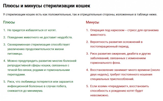 Кот загулял