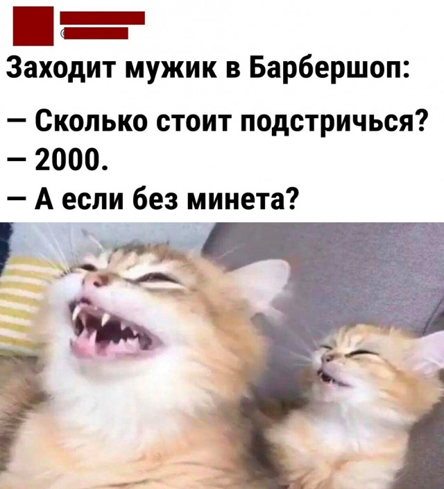 Так себе картинки 02.06.22