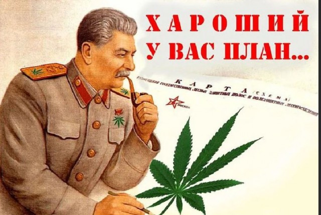 Пандемия съехавших крыш - разновидности болезни. Россия и мир. Часть 37