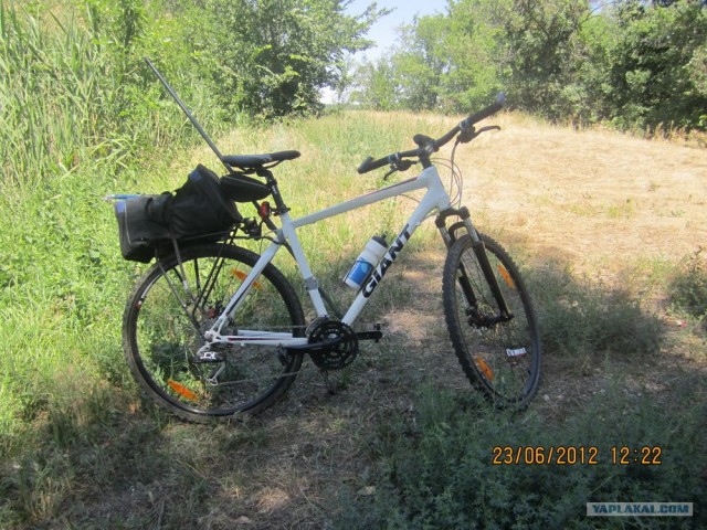 Утреняя рыбалка