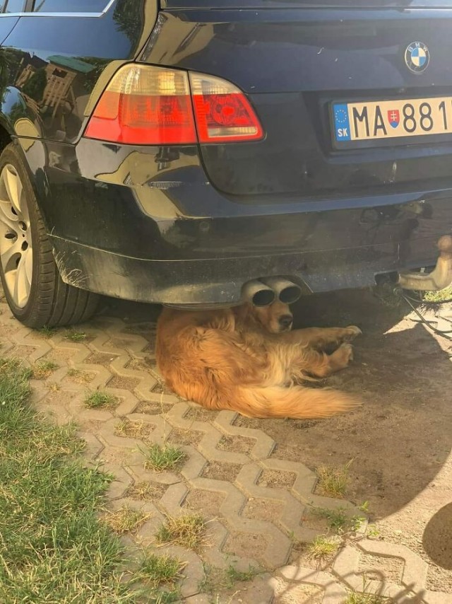 А вот картиночки...
