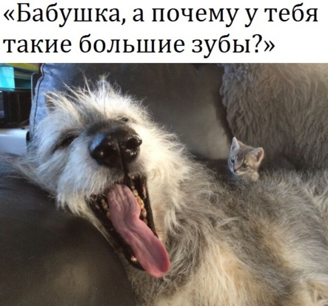 Картинки и мемы, всем хороших выходных