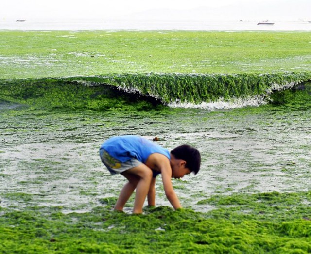 Тайна воды