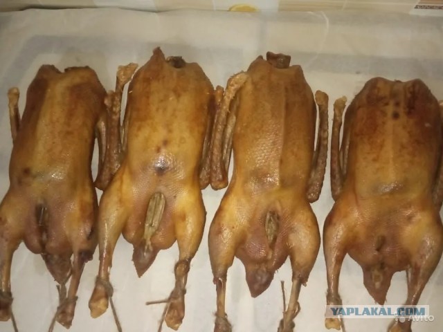 Как ЯП помог найти мне воришку