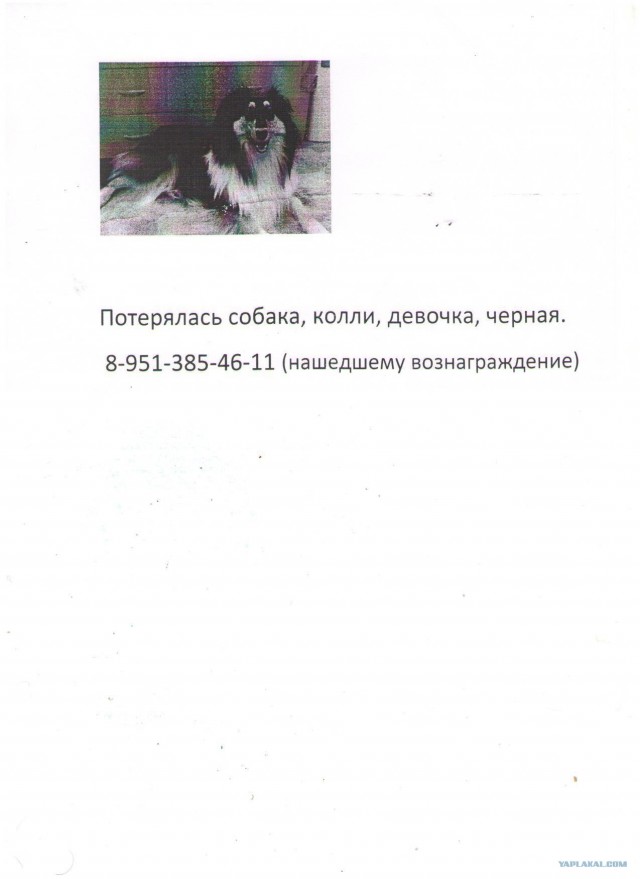 Что мне делать?Новосибирск-помогите.