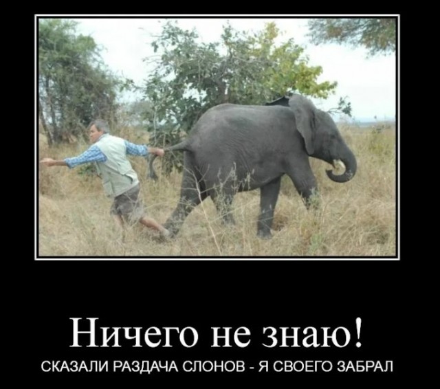 Про депутатов, их жён и любовниц
