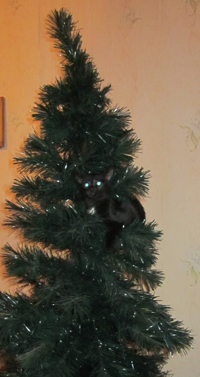 Новогодняя игрушка
