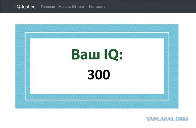 А какой у Вас IQ?