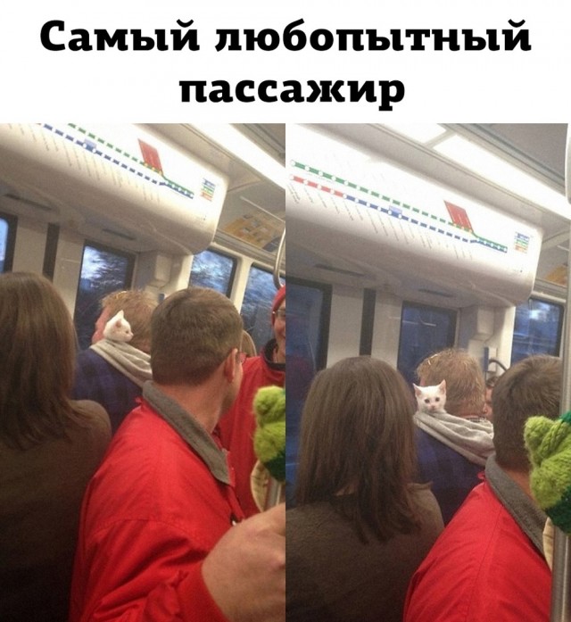 Так себе картинки 03.07.23
