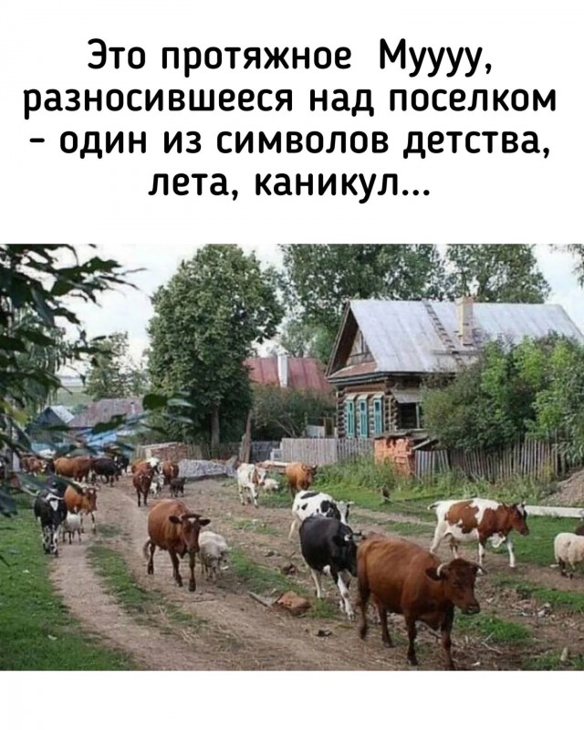Ностальгическая мешанина из светлого прошлого