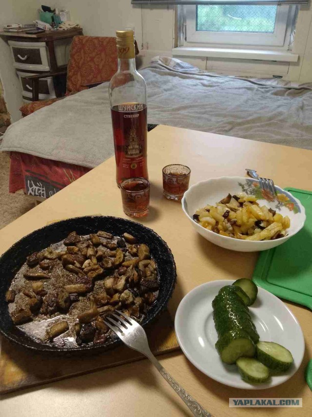 Три часа назад